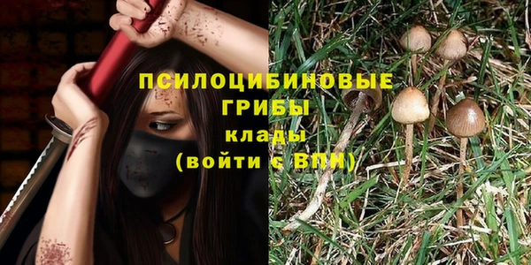 тгк Алексеевка