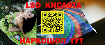 тгк Новокубанск