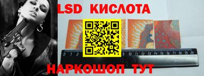 spice Новодвинск