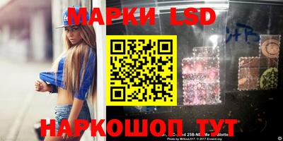 spice Новодвинск