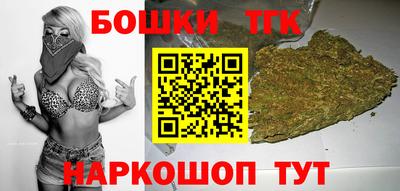 тгк Новозыбков