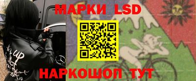 spice Новодвинск