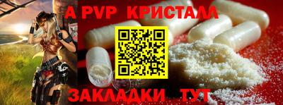 тгк Новозыбков