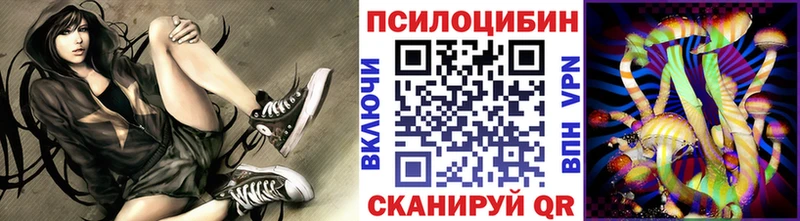 где купить наркотик  Ржев  Псилоцибиновые грибы прущие грибы 