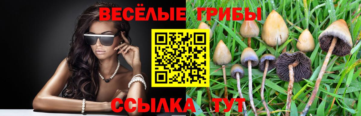 Псилоцибиновые грибы GOLDEN TEACHER Ржев
