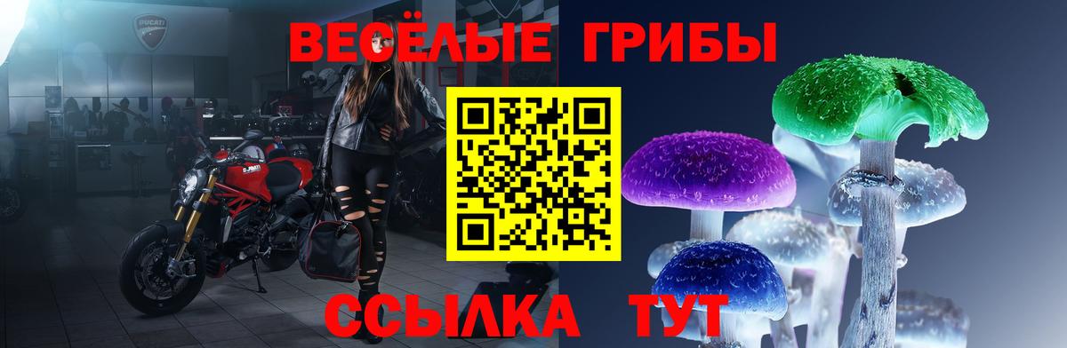 Псилоцибиновые грибы Cubensis  Вход с VPN  Галлюциногенные грибы Cubensis  Ржев 