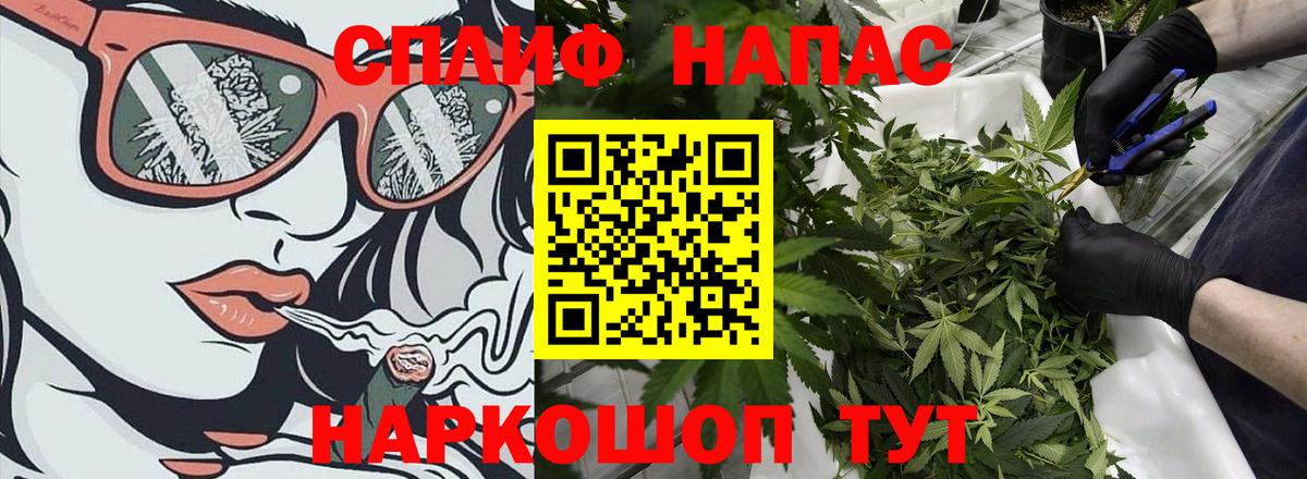 Канабис SATIVA & INDICA Ржев